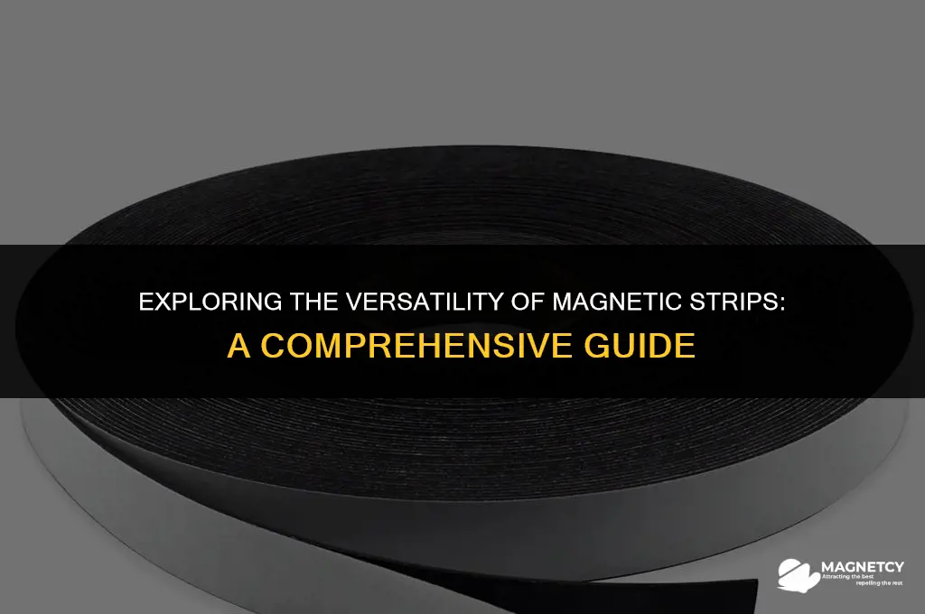 can you buy magnetic strips