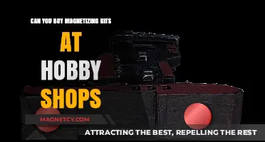 Exploring Magnetism: Are Hobby Shops Your One-Stop Destination?