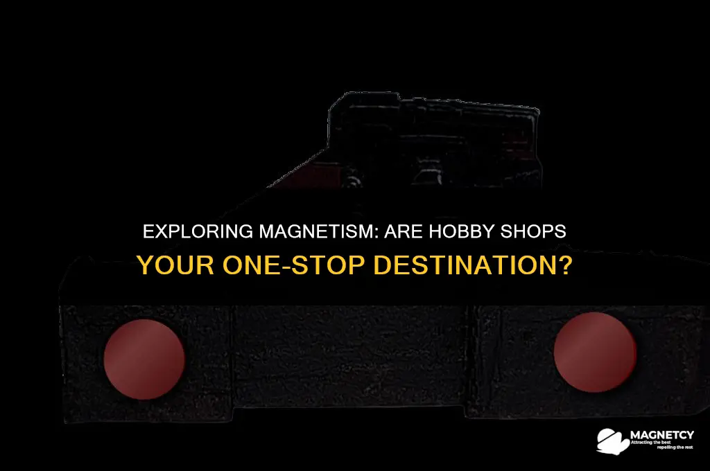 can you buy magnetizing kits at hobby shops
