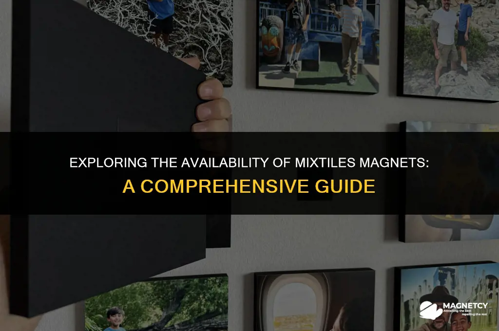 can you buy mixtiles magnets