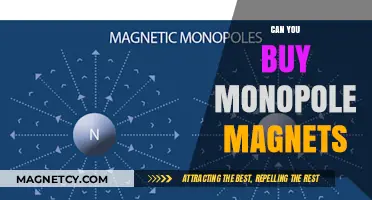 Exploring the Market for Monopole Magnets: A Comprehensive Guide
