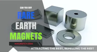 Exploring the Market for Rare Earth Magnets: A Comprehensive Guide