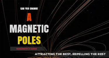 Exploring the Possibilities: Can Magnetic Poles Be Altered?
