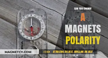 Exploring Magnetism: Can You Really Reverse a Magnet's Polarity?