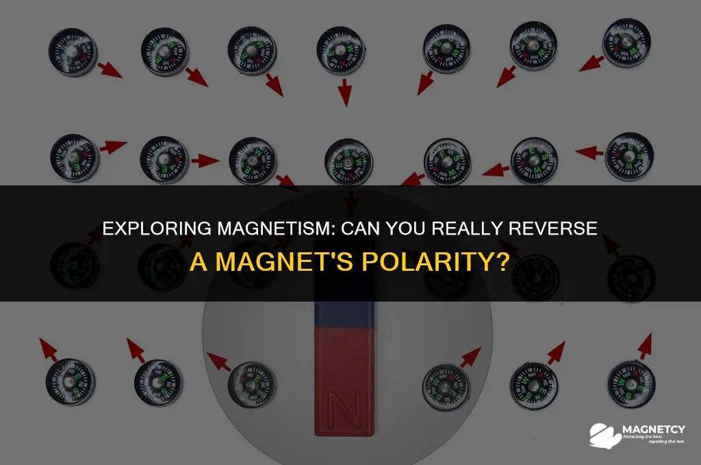 can you change a magnets polarity