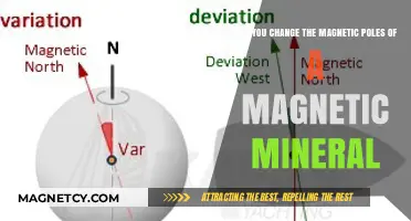 Reversing Nature's Compass: Altering Magnetic Poles in Minerals