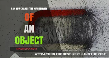 Exploring the Possibilities: Can Magnetism in Objects Be Altered?