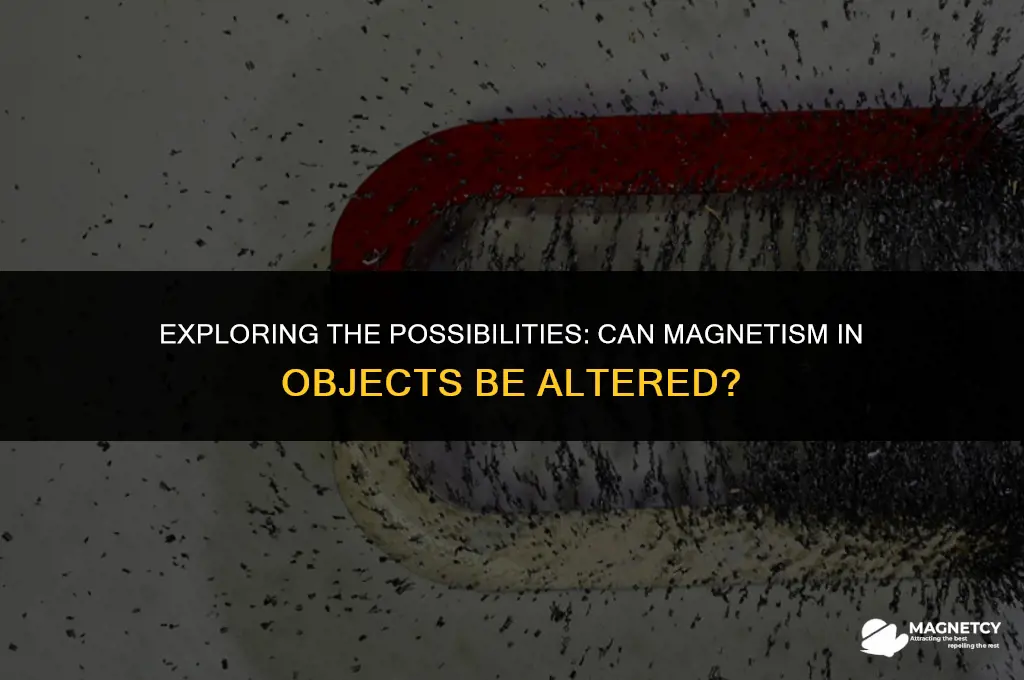 can you change the magnetivity of an object