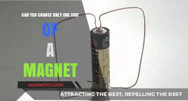 Exploring Magnetic Mysteries: Can You Charge Just One Side?