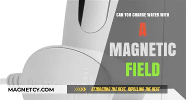 Exploring the Mysteries: Can Water Be Charged with a Magnetic Field?