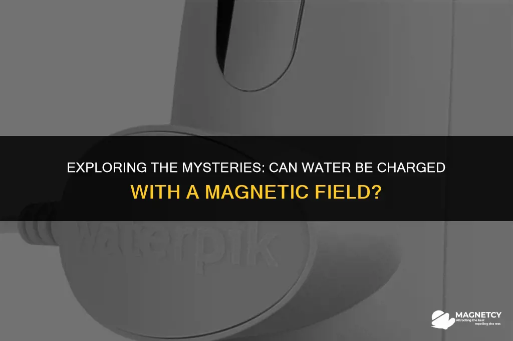 can you charge water with a magnetic field
