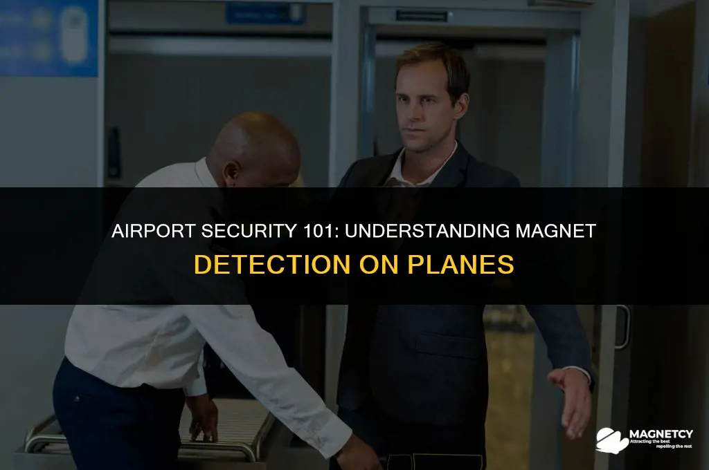 can you check magnets on a plane