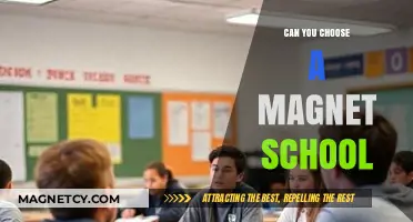 Exploring Options: The Journey to Choosing a Magnet School