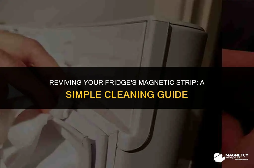 can you clean the magnetic strip on your fridge