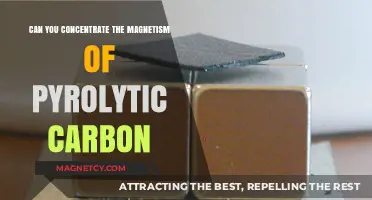Unlocking the Magnetic Potential of Pyrolytic Carbon: A Breakthrough Study