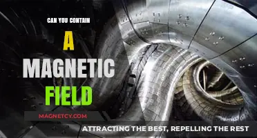 Exploring the Boundaries: Can Magnetic Fields Be Contained?
