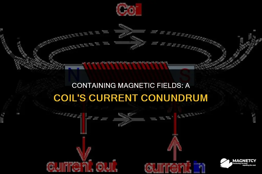can you contain magnetic field around a current-carrying coil
