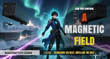 Manipulating Magnetic Fields: Exploring the Limits of Control