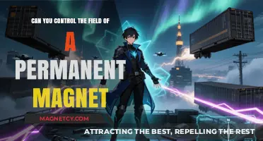 Manipulating Magnetic Fields: The Science Behind Permanent Magnets