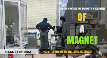 Unlocking the Secrets: How to Control a Magnet's Properties
