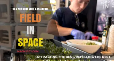 Exploring Culinary Frontiers: Cooking with Magnetic Fields in Space