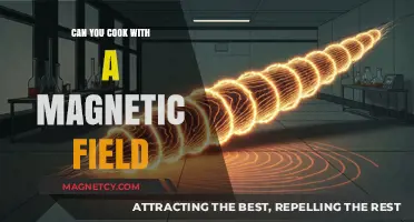 Exploring Culinary Frontiers: Cooking with Magnetic Fields
