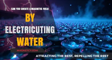 Electrifying Water: Unraveling the Mystery of Magnetic Fields
