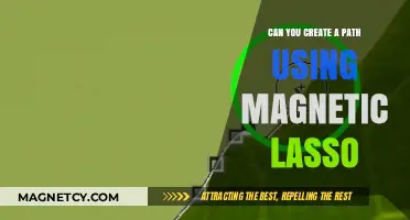Precision Pathways: Unleashing Creativity with Magnetic Lasso Techniques