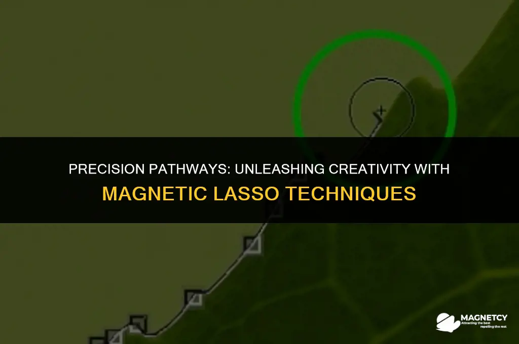 can you create a path using magnetic lasso