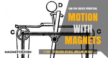 Unlocking the Myth: Perpetual Motion and the Magnetic Enigma