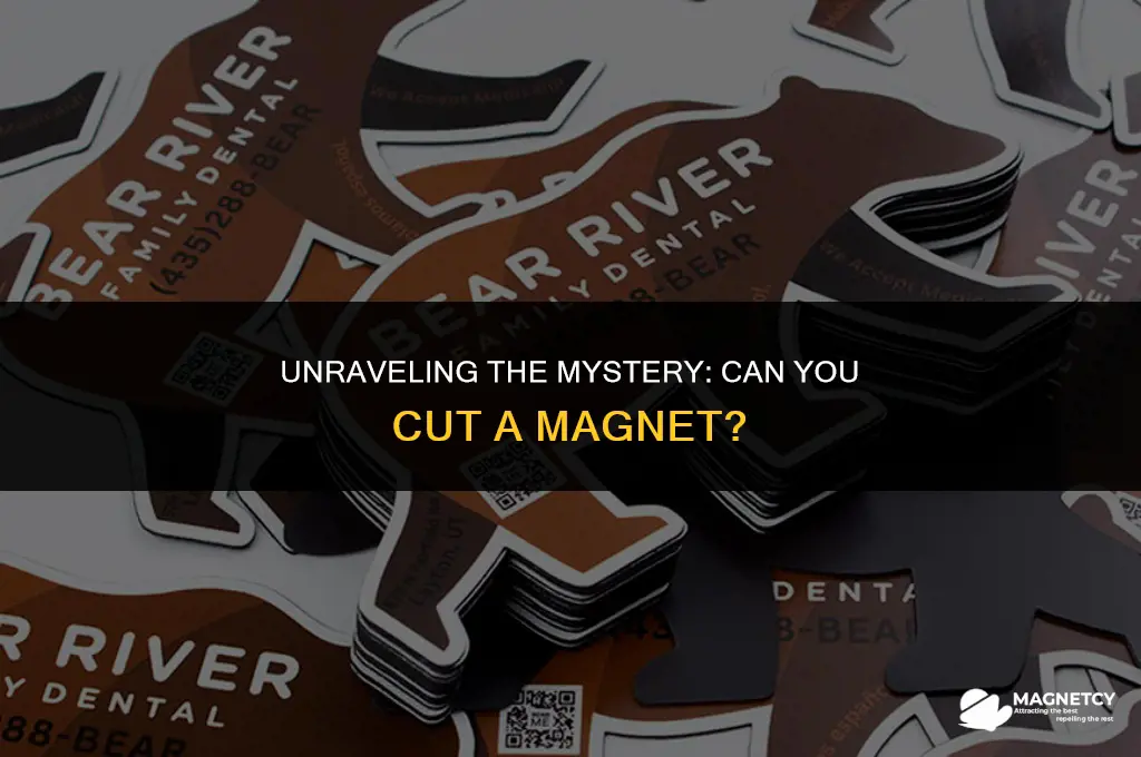 can you cu a magnet
