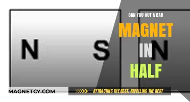 Exploring Magnetism: The Consequences of Cutting a Bar Magnet