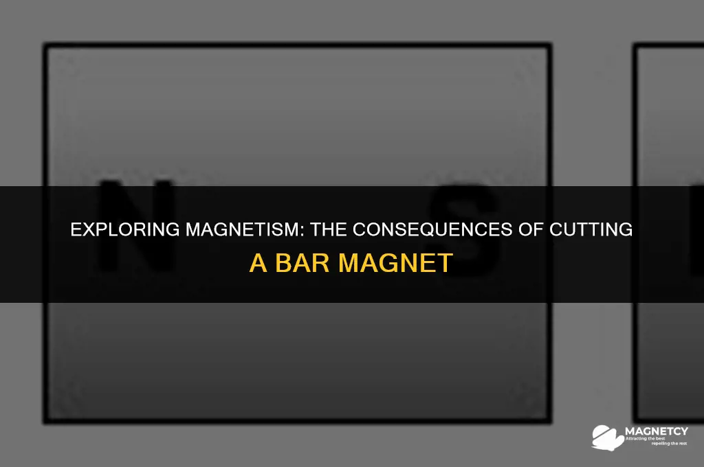 can you cut a bar magnet in half