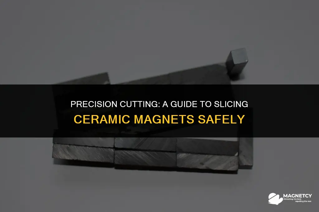can you cut a ceramic magnet