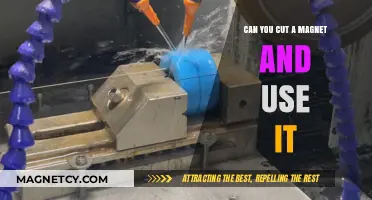 Can You Cut a Magnet and Still Use It? Explained