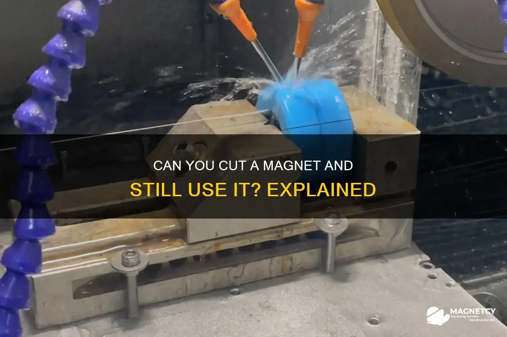 can you cut a magnet and use it