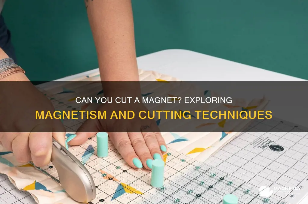 can you cut a magnet