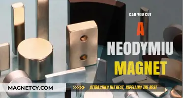 Demystifying Neodymium Magnets: Can You Really Cut Them?