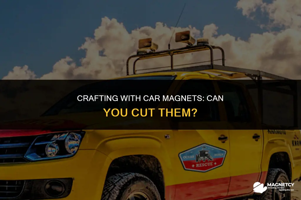 can you cut car magnet