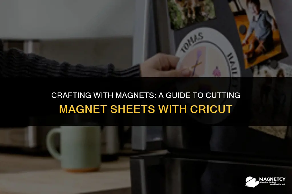 can you cut magnet sheets with cricut
