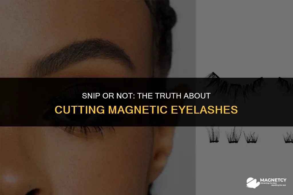 can you cut magnetic eyelashes