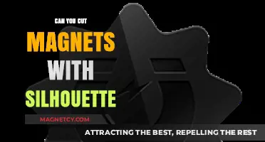Crafting with Magnets: A Silhouette Cutter's Guide