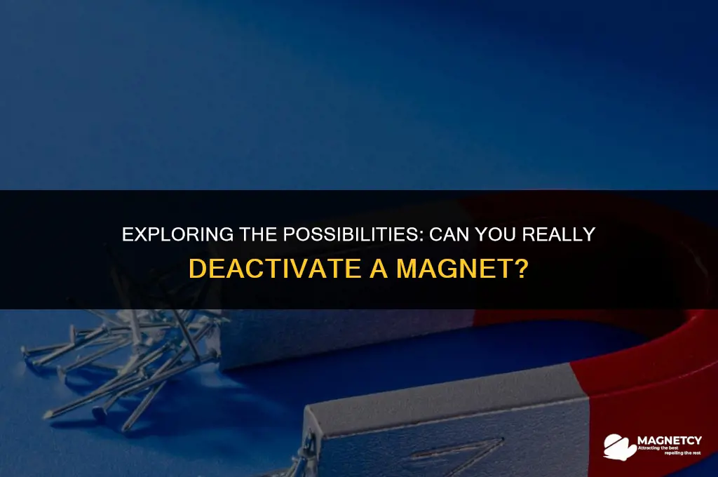 can you deactivate a magnet