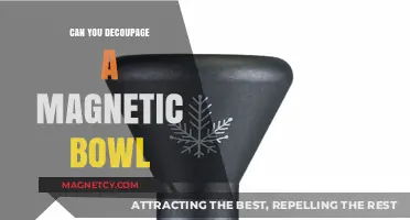Crafting with Magnets: The Art of Decoupage on Magnetic Bowls