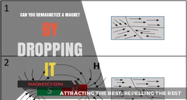 Demystifying Magnetism: The Truth About Demagnetizing Magnets