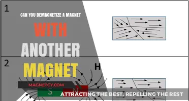 Exploring Magnetic Mysteries: Demagnetization Through Magnetic Fields