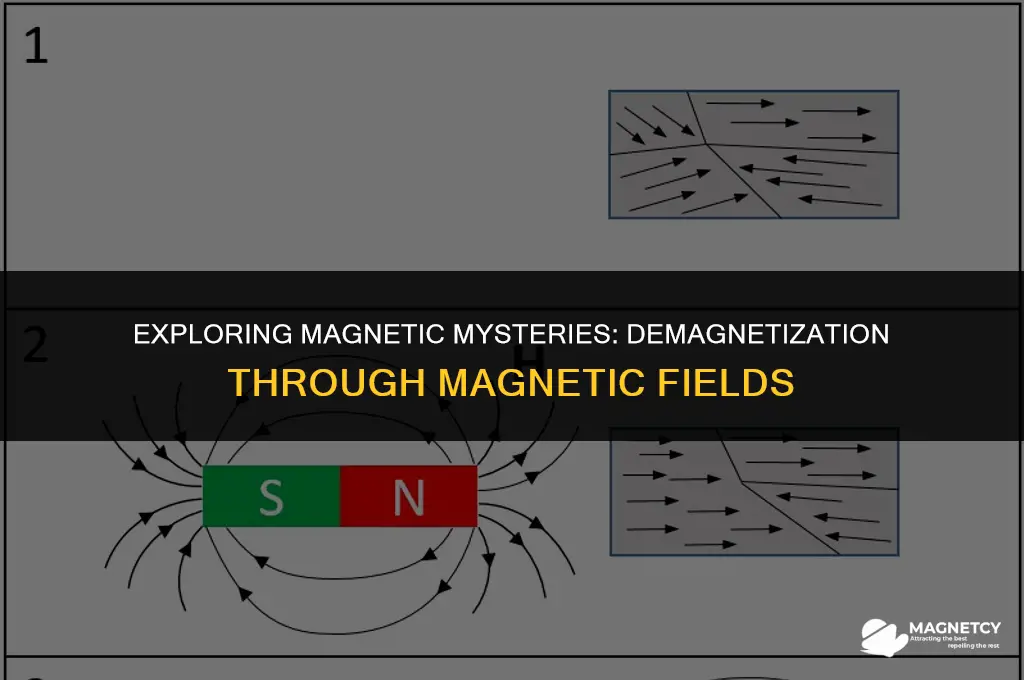 can you demagnetize a magnet with another magnet