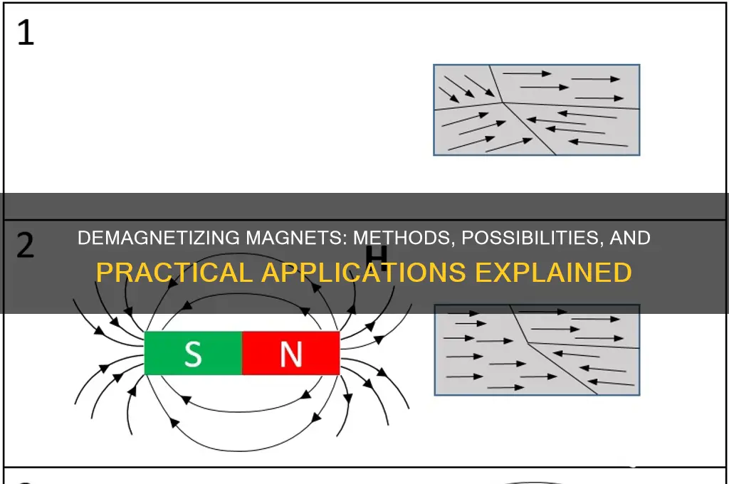 can you demagnetize a magnet