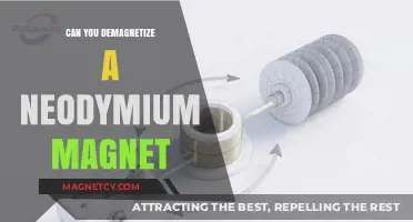Demystifying Neodymium Magnets: Can They Really Be Demagnetized?