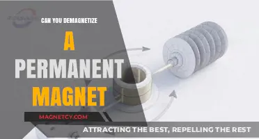 Exploring the Possibilities: Can You Really Demagnetize a Permanent Magnet?